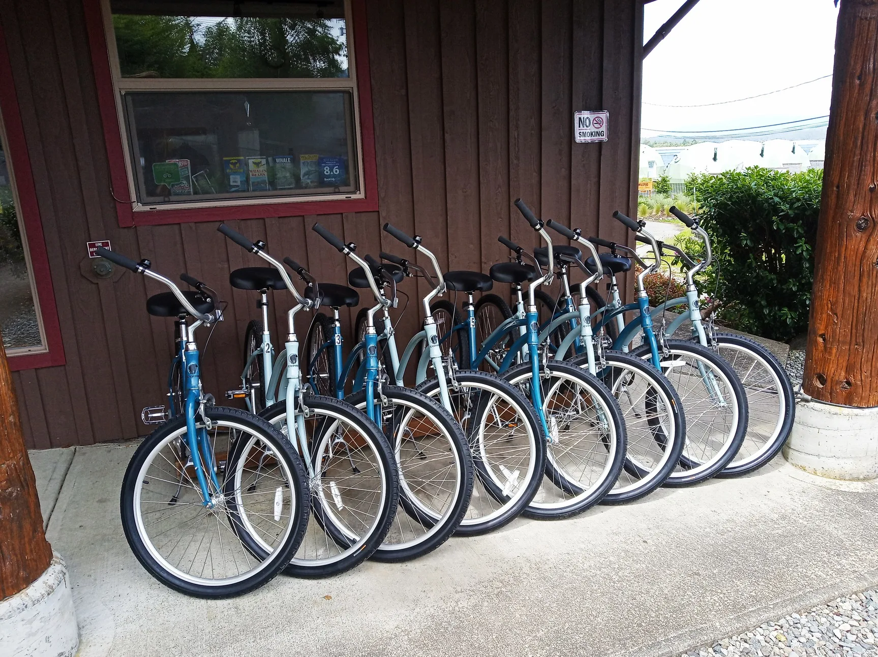 Tofino Hostel bike rental
