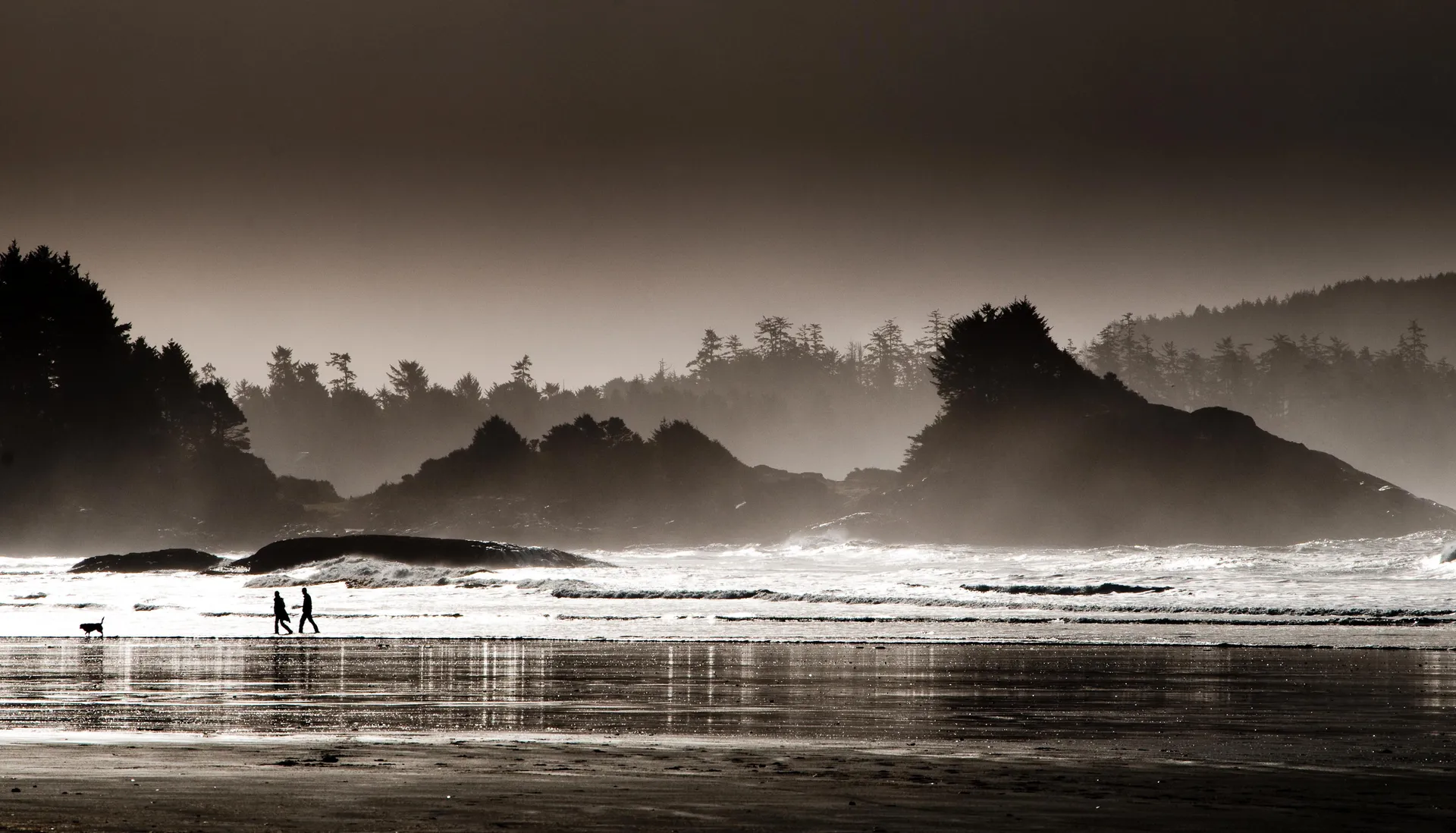 tofino-storm-watching